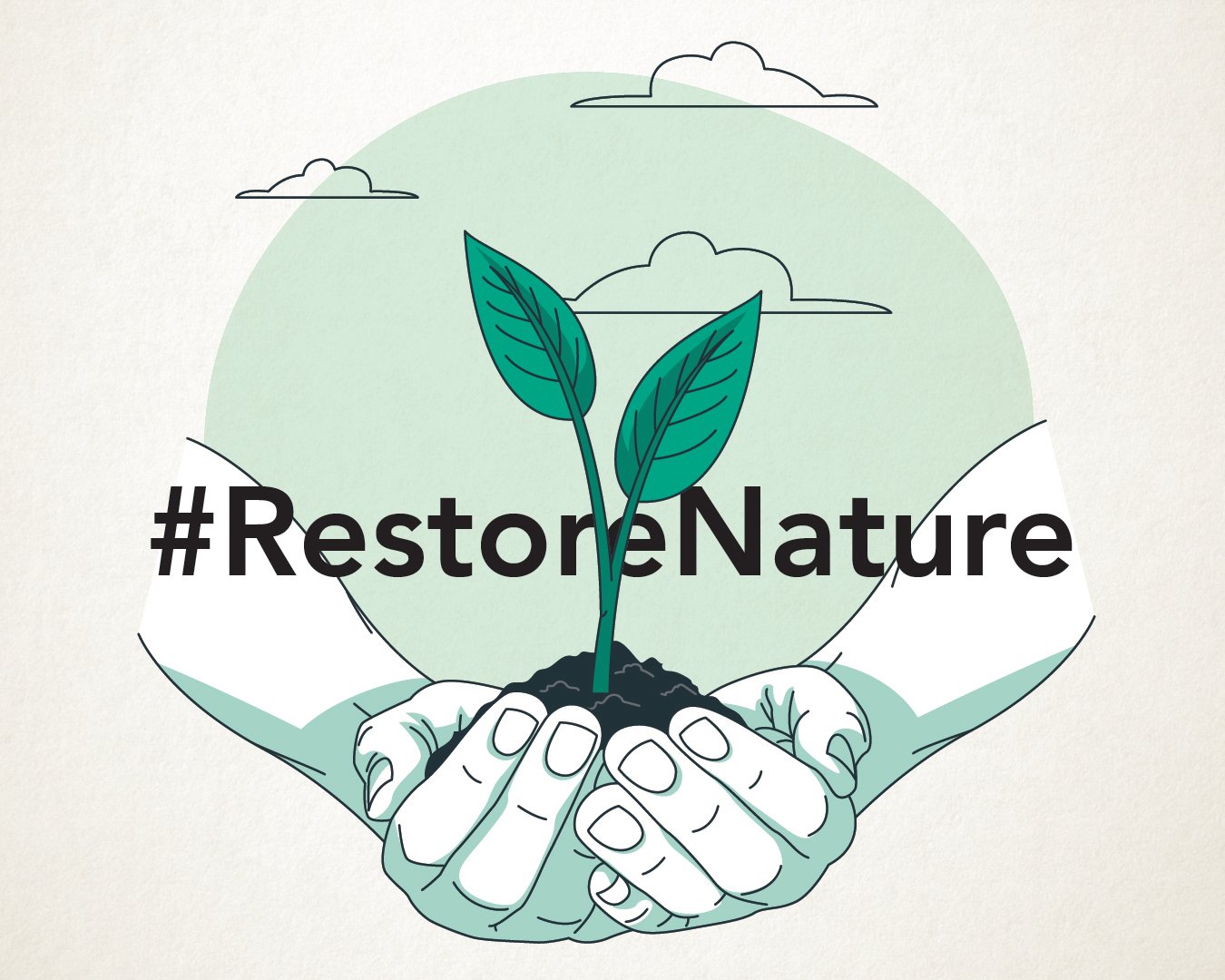 Why We Need A Nature Restoration Law A Fact Check The Left